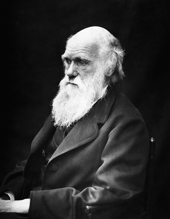 How humans interfere the evolution of animals? sisascience.org